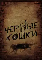 Черные кошки смотреть онлайн сериал 1 сезон 